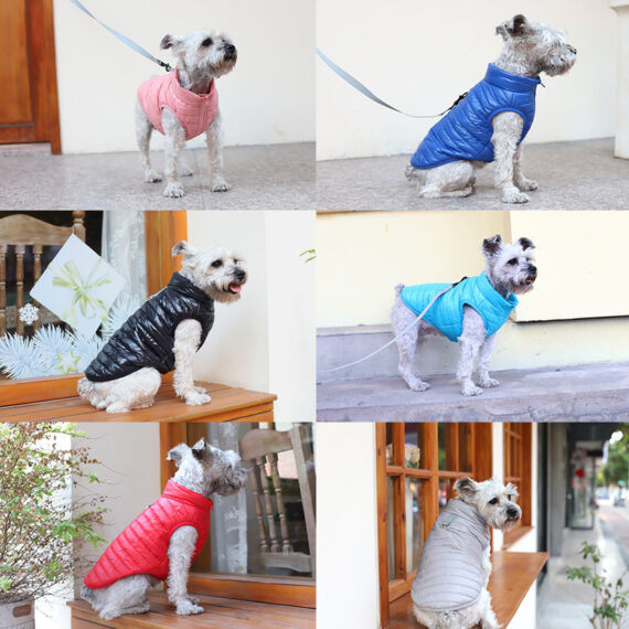 French Bulldog Padded Vest