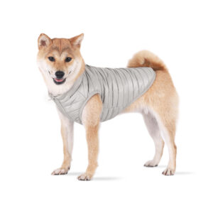 French Bulldog Padded Vest by BATPIG New Photos-2