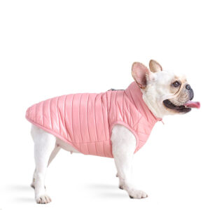 French Bulldog Padded Vest