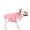 French Bulldog Padded Vest