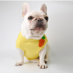 Carrot French Bulldog Sweater by BATPIG New Photo