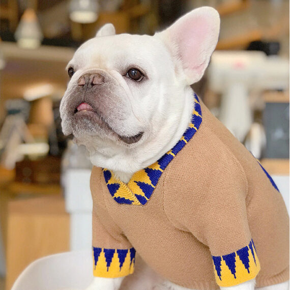 Lucky French Bulldog Sweater