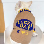 Lucky French Bulldog Sweater