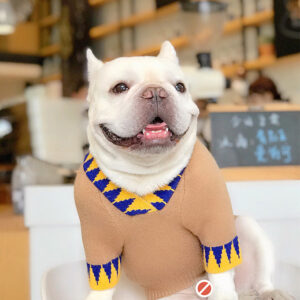 New-lucky-french-bulldog-sweater-by-BATPIG-2