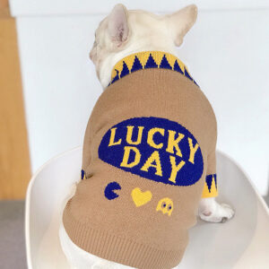 Lucky French Bulldog Sweater