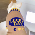 Lucky French Bulldog Sweater