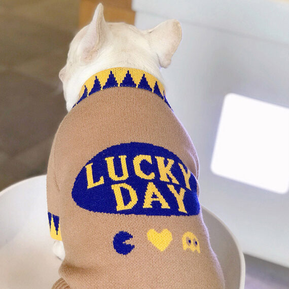 Lucky French Bulldog Sweater