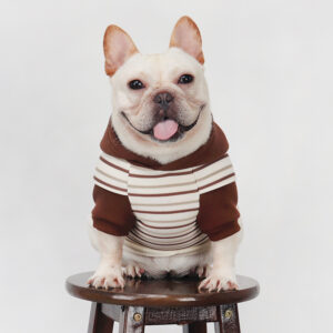Choco Stripe Frenchie Hoodie