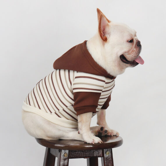 Choco Stripe Frenchie Hoodie
