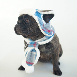 Frost Guard Plaid Frenchie Hat