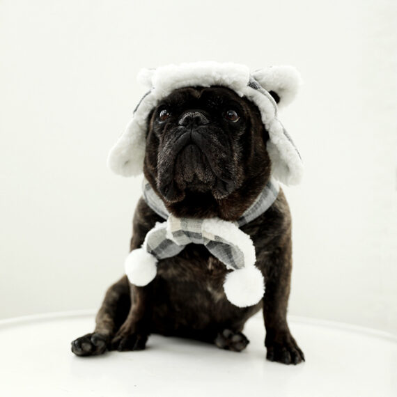 Frost Guard Plaid Frenchie Hat