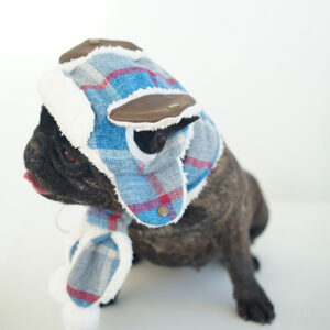 Frost Guard Plaid Frenchie Hat from BATPIG Pet Supply-8
