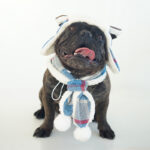 Frost Guard Plaid Frenchie Hat