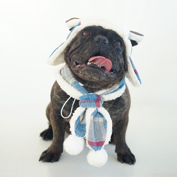 Frost Guard Plaid Frenchie Hat