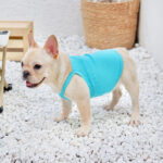 Grape Delight French Bulldog Tank