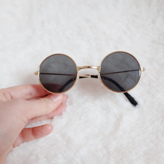 Pawfessor Round Glasses for Frenchies & Pals