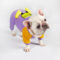 Playful Duck French Bulldog Onesie