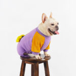 Playful Duck French Bulldog Onesie