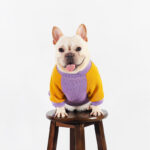 Playful Duck French Bulldog Onesie