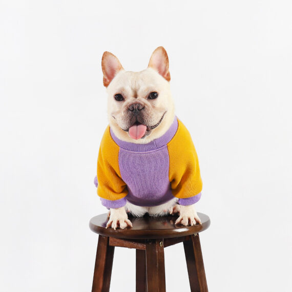 Playful Duck French Bulldog Onesie