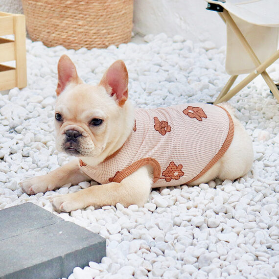 Teddy Mesh French Bulldog Vest