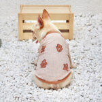 Teddy Mesh French Bulldog Vest