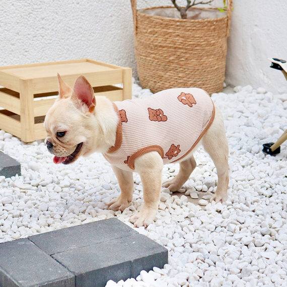 Teddy Mesh French Bulldog Vest