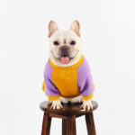 Blue Monster French Bulldog Jumpsuit