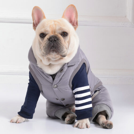Patch Party Puffer Jacket for French Bulldogs