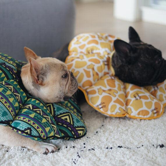 PetalShield Recovery Collar for Frenchie
