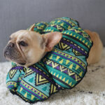 PetalShield Recovery Collar for Frenchie