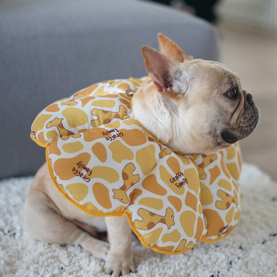PetalShield Recovery Collar for Frenchie