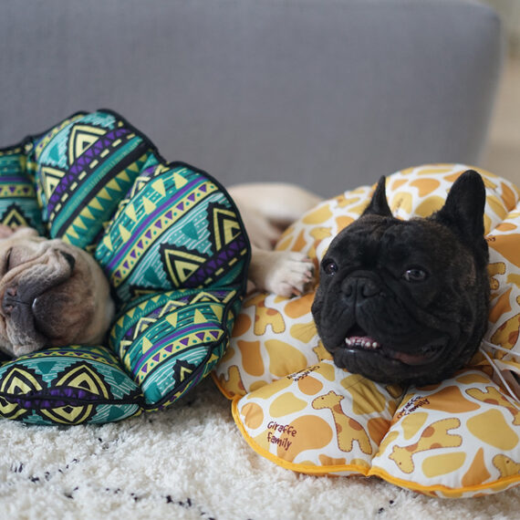 PetalShield Recovery Collar for Frenchie