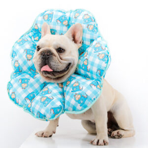PetalShield Recovery Collar for Frenchie