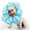 PetalShield Recovery Collar for Frenchie