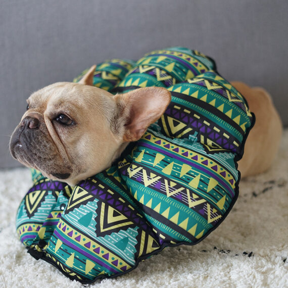 PetalShield Recovery Collar for Frenchie