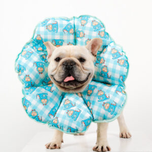 PetalShield Recovery Collar for Frenchie by BATPIG Pet Supply-6