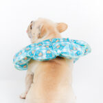 PetalShield Recovery Collar for Frenchie