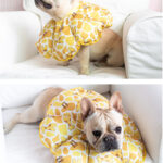 PetalShield Recovery Collar for Frenchie