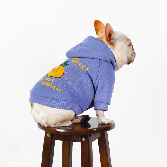 Pineapple Bliss French Bulldog Hoodie
