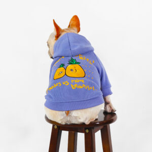 Pineapple Bliss French Bulldog Hoodie