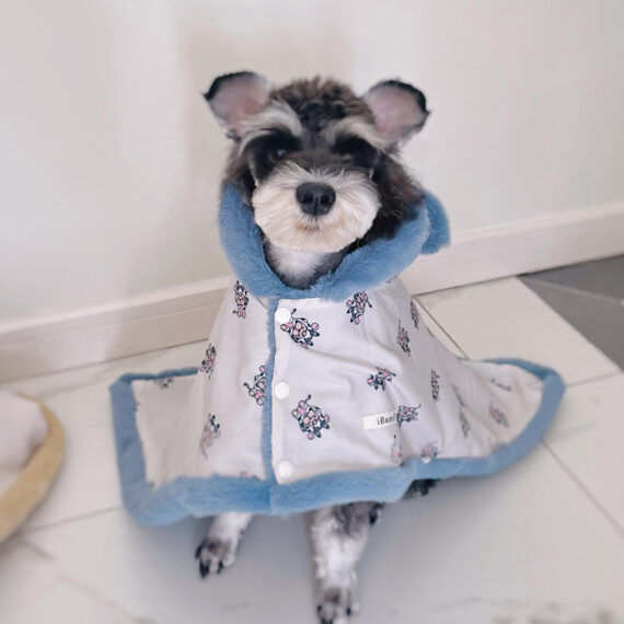 Snuggle Bear Hooded Blanket Cloak