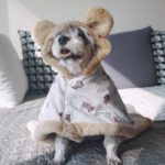 Snuggle Bear Hooded Blanket Cloak