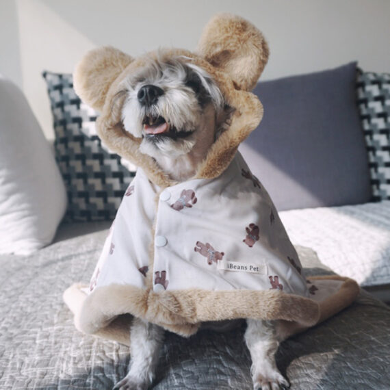 Snuggle Bear Hooded Blanket Cloak