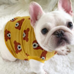 Teddy Hug Frenchie Knit Sweater
