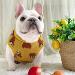 Teddy Hug Frenchie Knit Sweater