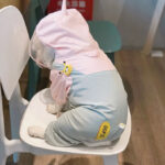 Unicorn Rain Defender Suit for French Bulldogs
