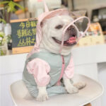 Unicorn Rain Defender Suit for French Bulldogs