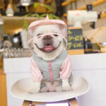 Unicorn Rain Defender Suit for French Bulldogs